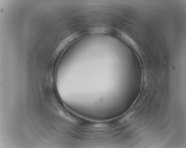 X0000060780059200511241830