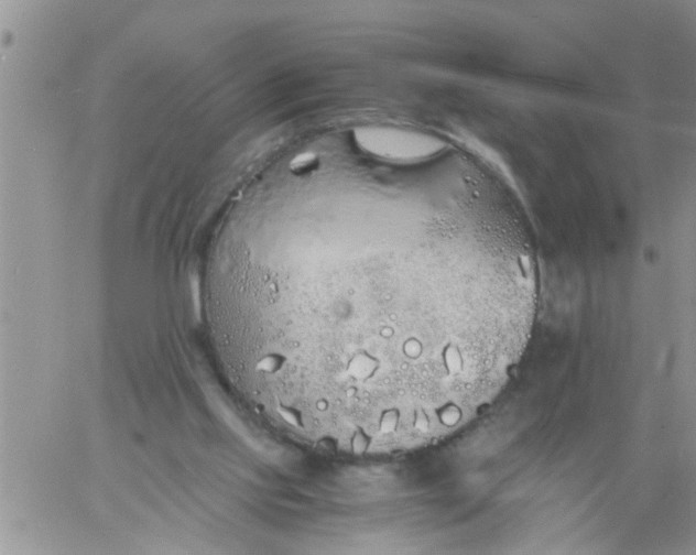 X0000060780061200511241830