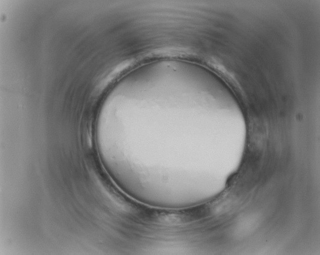 X0000060780062200511241830