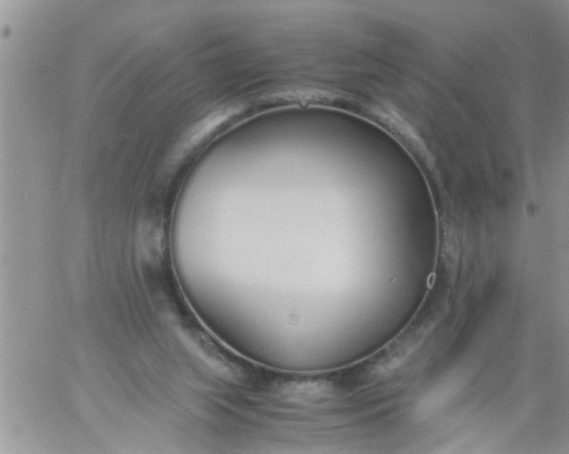 X0000060780063200511241830