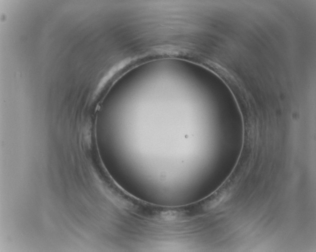 X0000060780064200511241830