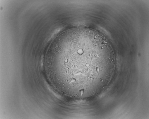 X0000060780065200511241830