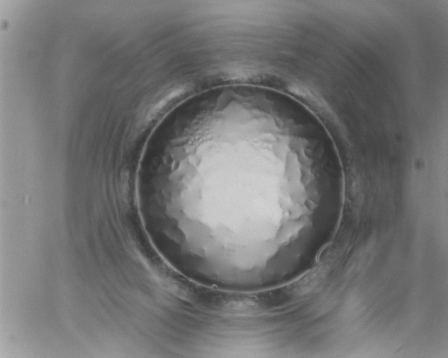 X0000060780066200511241830