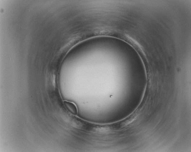 X0000060780067200511241830