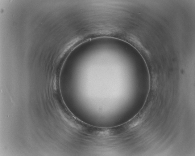 X0000060780068200511241830