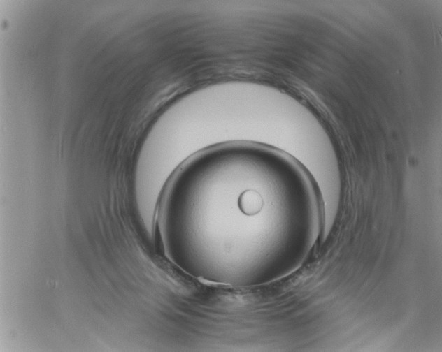 X0000060780071200511241830