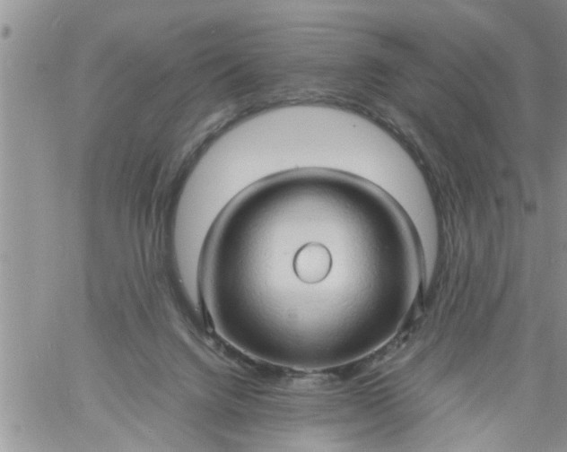 X0000060780072200511241830