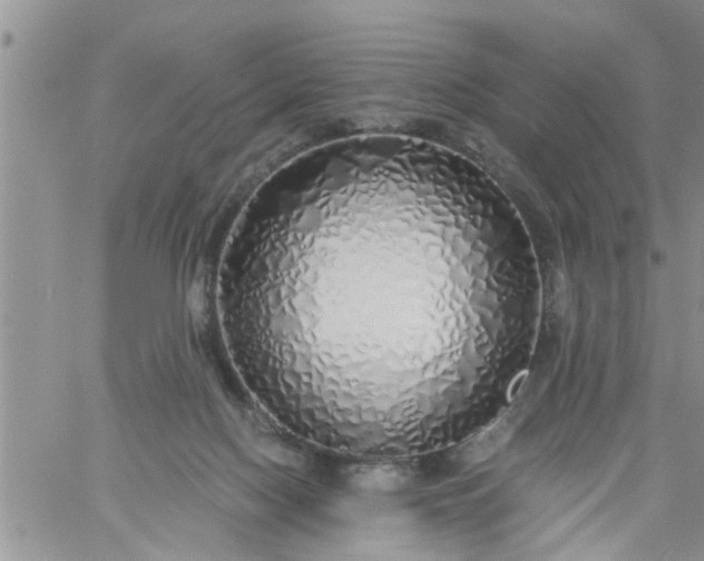 X0000060780074200511241830