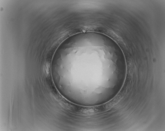 X0000060780075200511241830