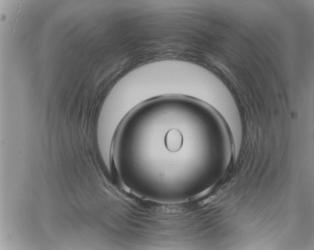 X0000060780077200511241830