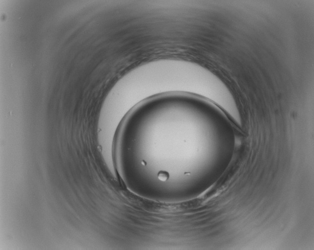 X0000060780079200511241830