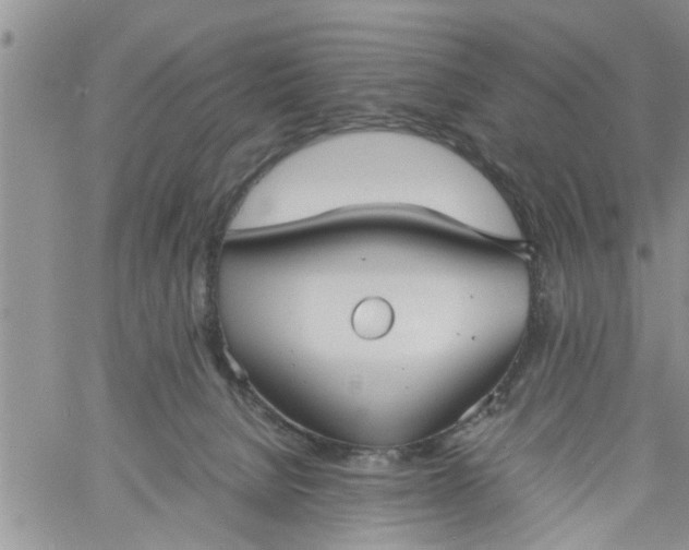 X0000060780080200511241830