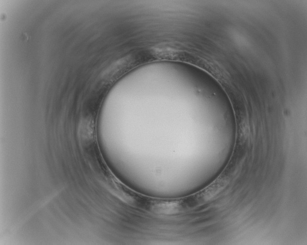 X0000060780081200511241830