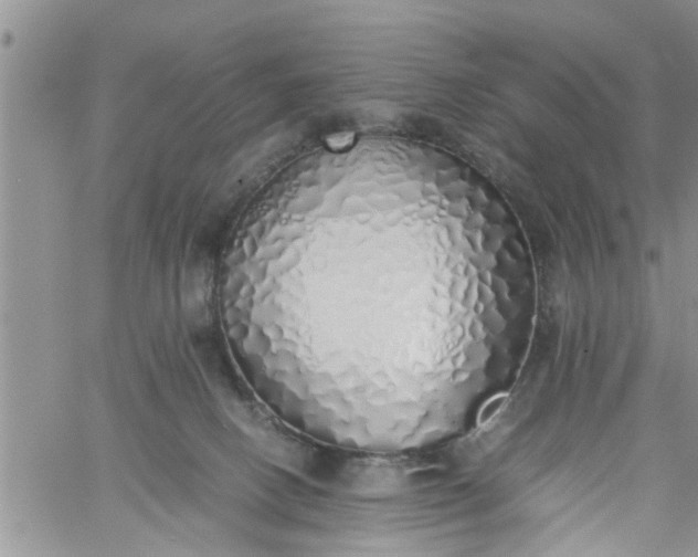 X0000060780082200511241830