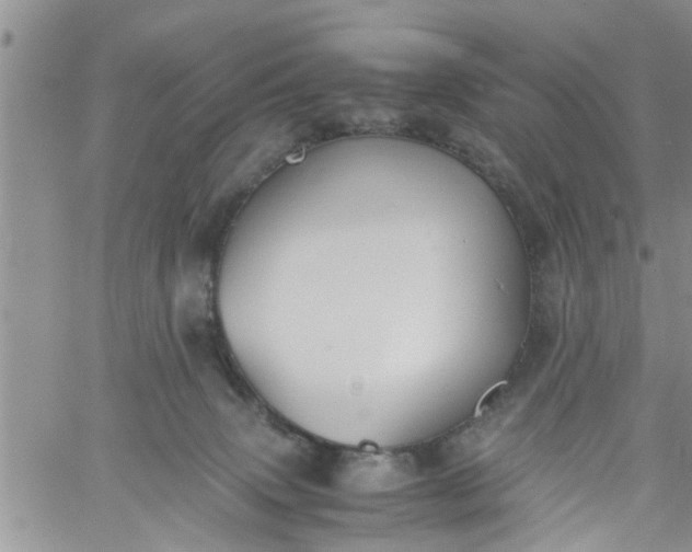 X0000060780083200511241830