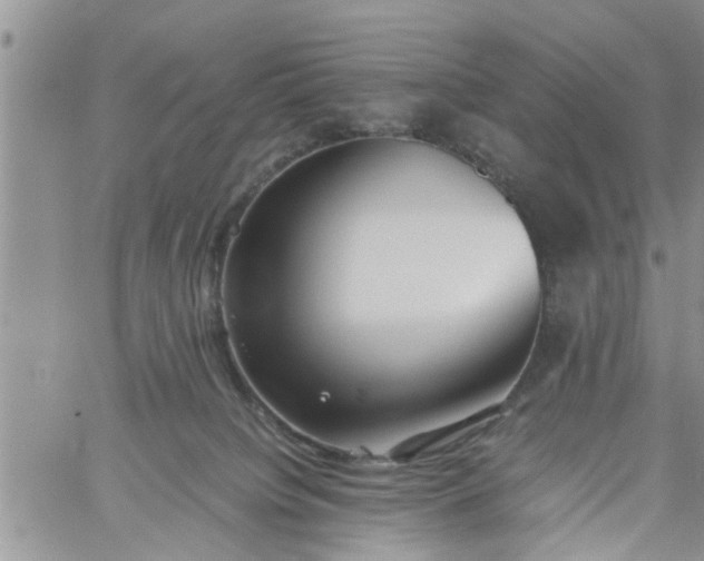 X0000060780084200511241830