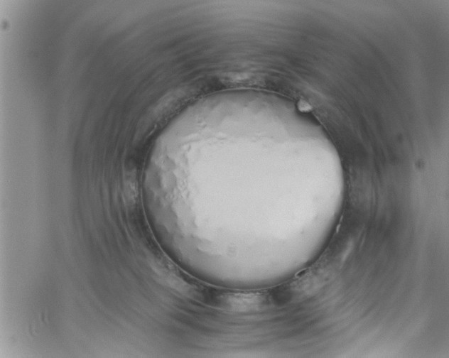 X0000060780085200511241830