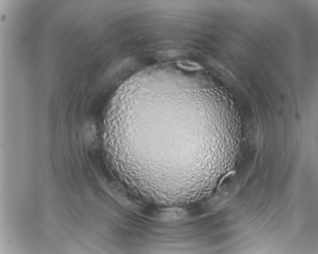 X0000060780087200511241830