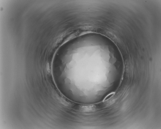 X0000060780089200511241830