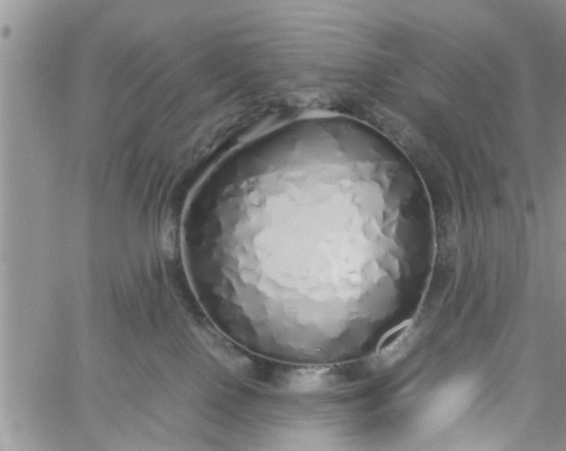 X0000060780090200511241830