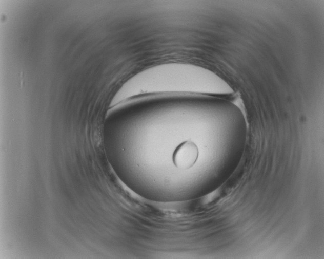 X0000060780091200511241830