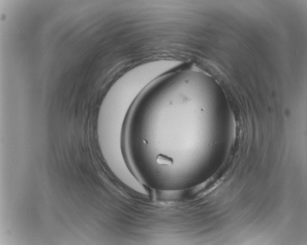 X0000060780092200511241830