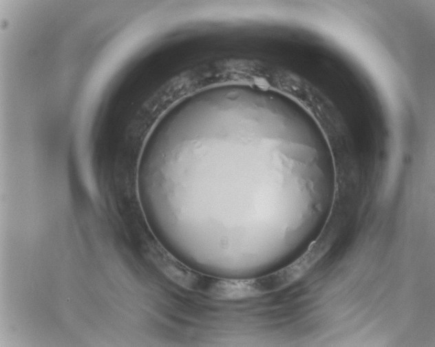 X0000060780093200511241830