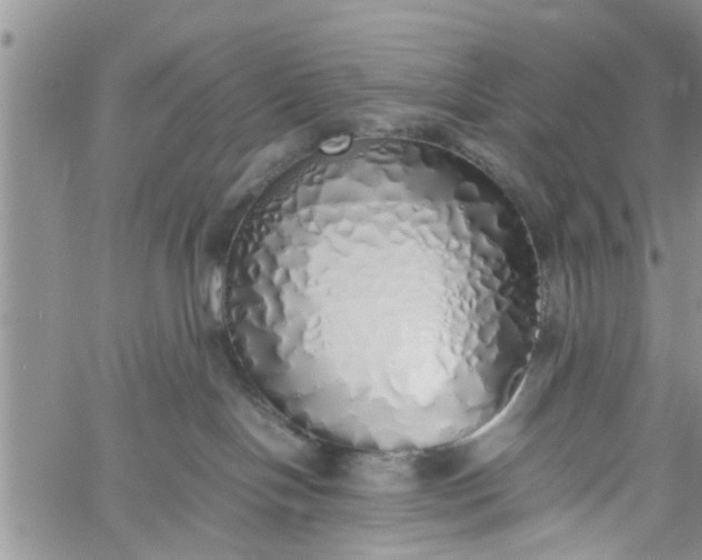 X0000060780094200511241830