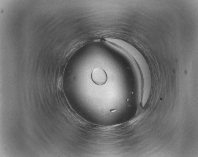 X0000060780096200511241830