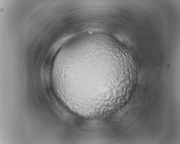 X0000060780098200511241829