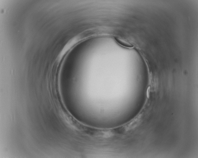 X0000060780099200511241829