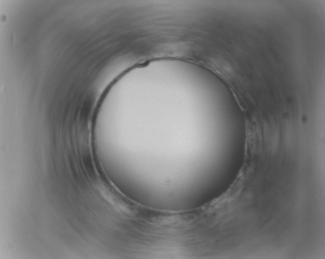 X0000060780100200511241829