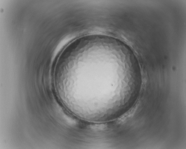 X0000060780102200511241829