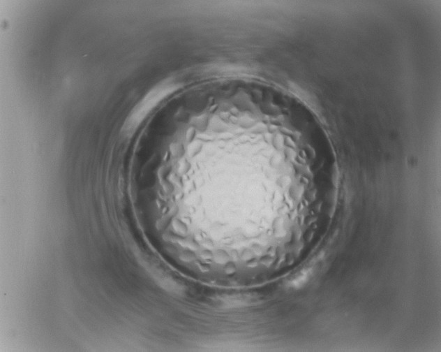 X0000060780103200511241829