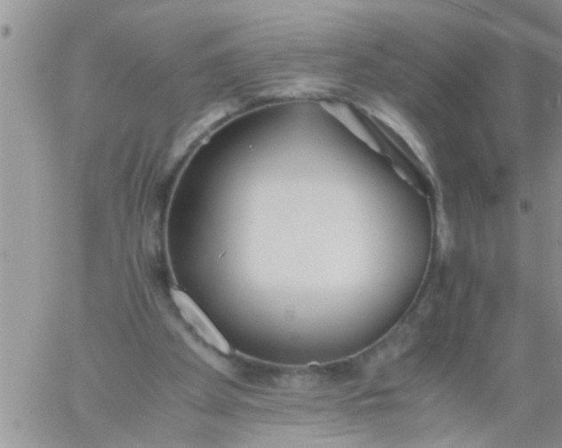 X0000060780105200511241829