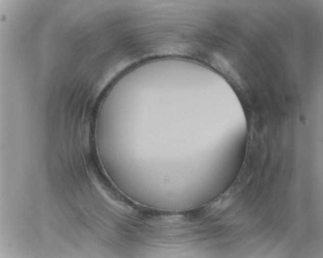 X0000060780108200511241829