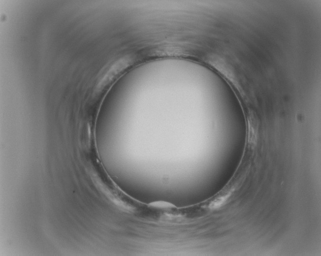 X0000060780109200511241829