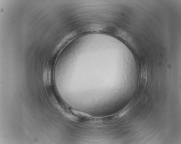 X0000060780110200511241829