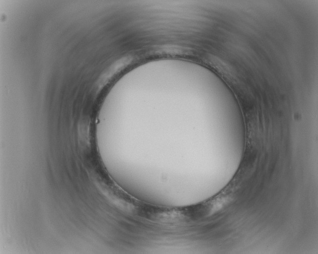 X0000060780112200511241829