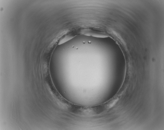 X0000060780113200511241829