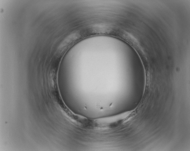 X0000060780114200511241829