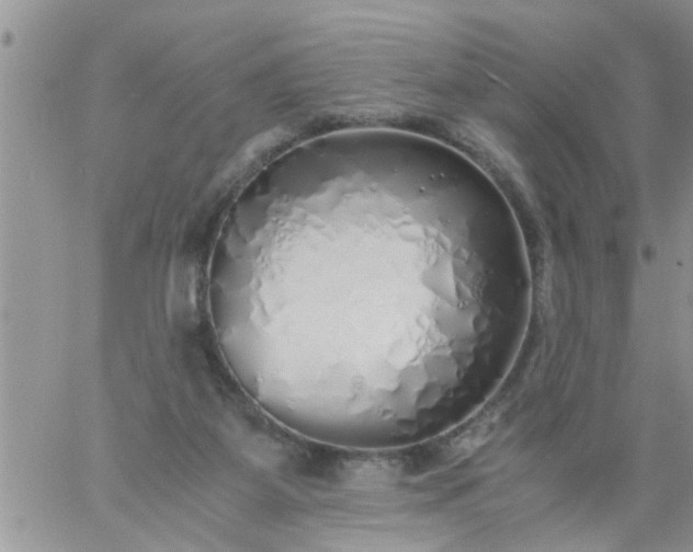 X0000060780115200511241829