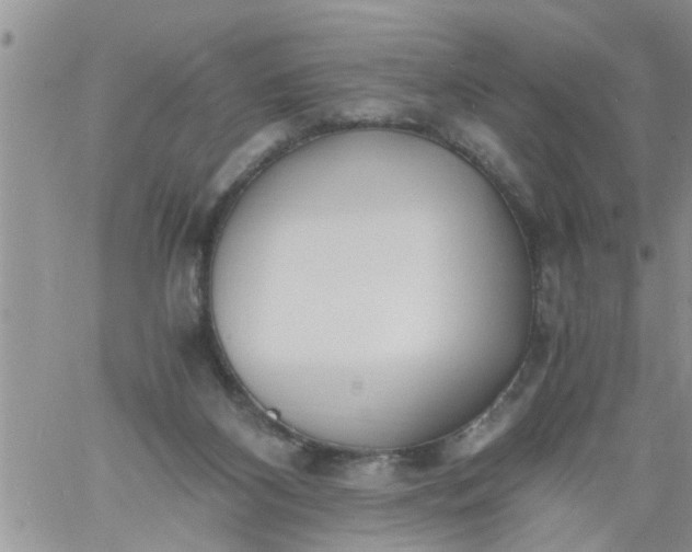 X0000060780116200511241829