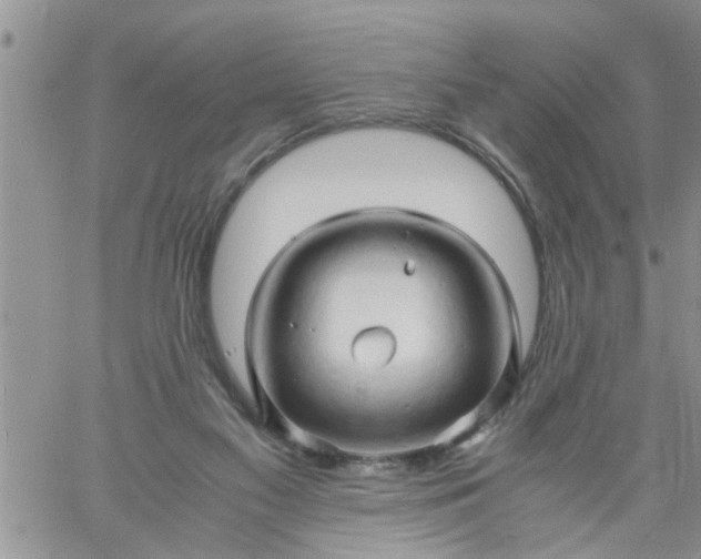 X0000060780117200511241829