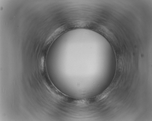 X0000060780118200511241829