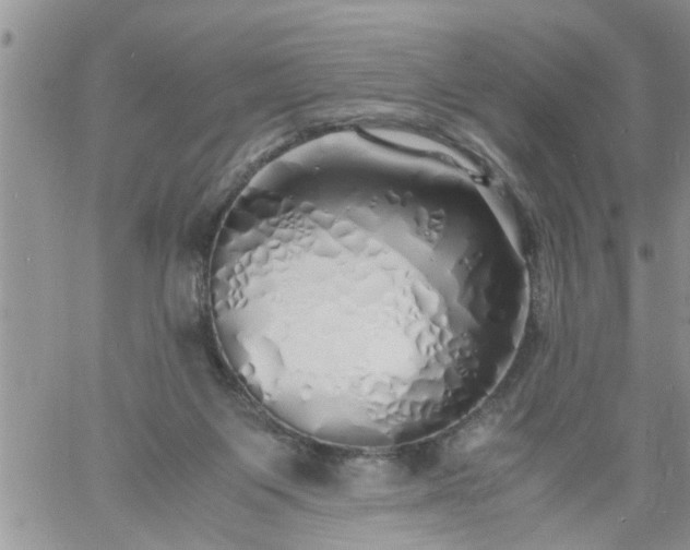 X0000060780119200511241829