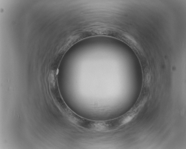 X0000060780121200511241829