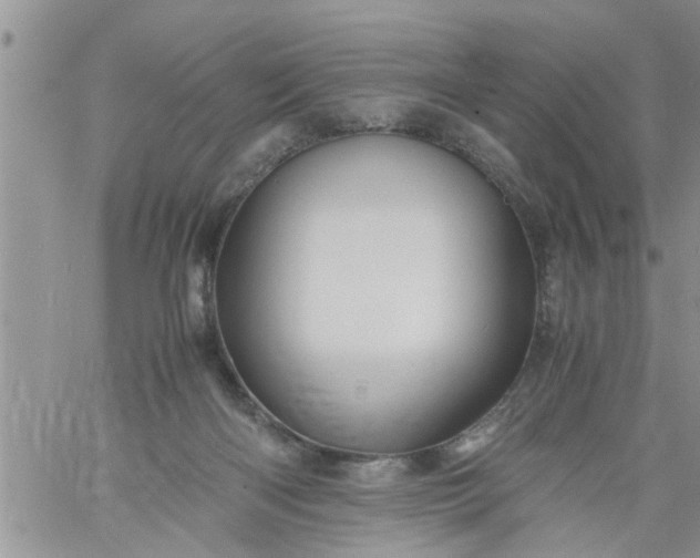 X0000060780122200511241829