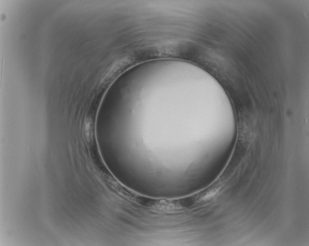 X0000060780123200511241829