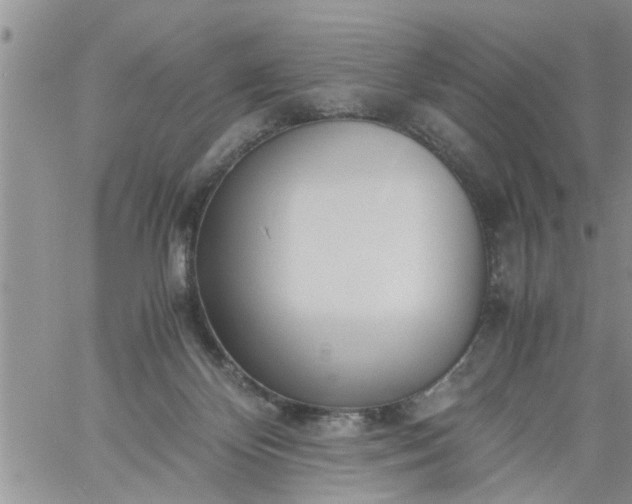 X0000060780124200511241829